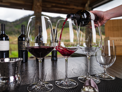 January 31st Sofia's Release Dinner